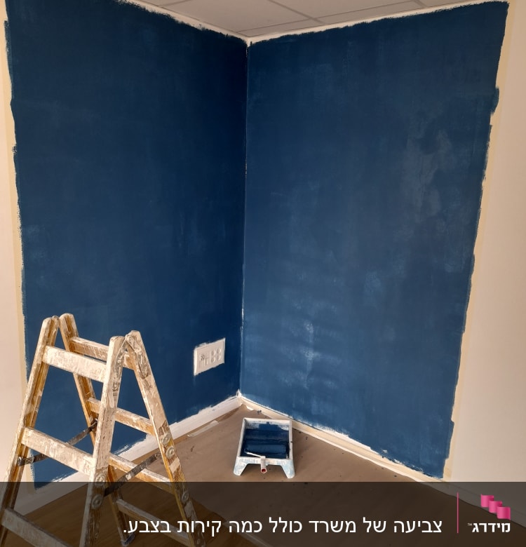 קיר צבוע בכחול עם סולם ומגש צבע